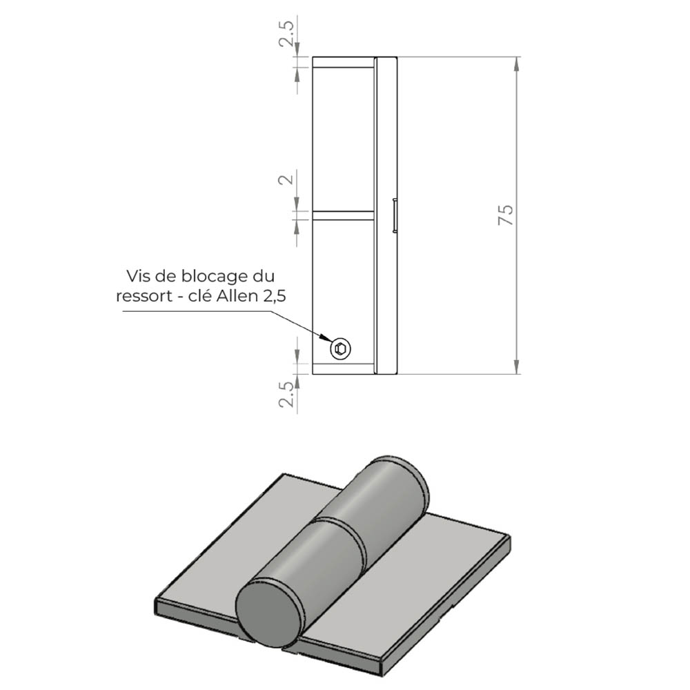 Paumelles en Inox – Simples & à Ressort – Avec Cache-Vis